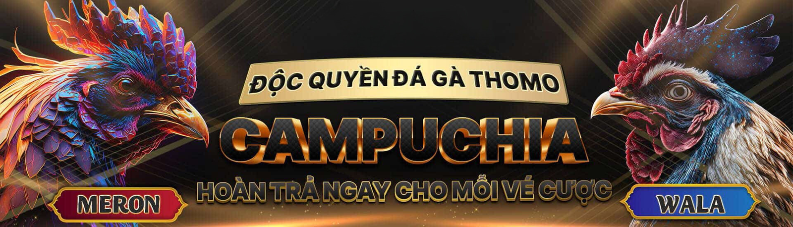 Trang chủ 29 Thiet ke chua co ten 66