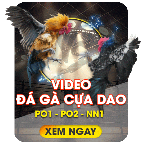 Trang chủ 18 dagacuadao