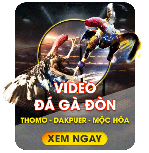 Trang chủ 20 dagadon